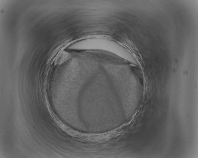 X0000083650001200703051738