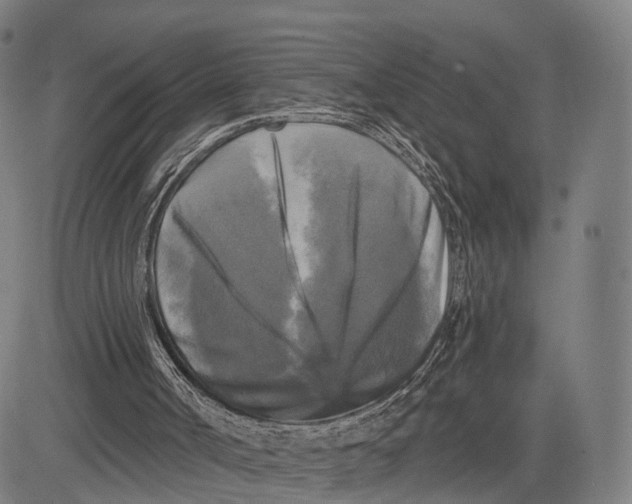 X0000083650002200703051738