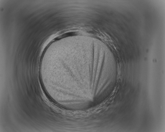 X0000083650003200703051738