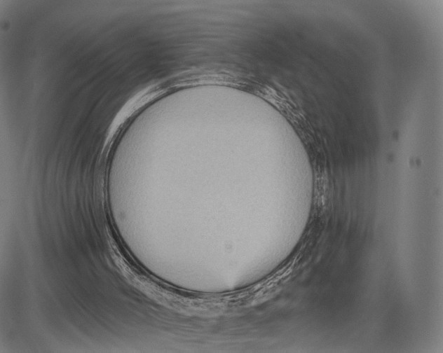 X0000083650004200703051738