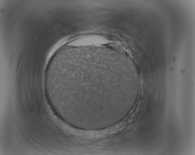 X0000083650006200703051738