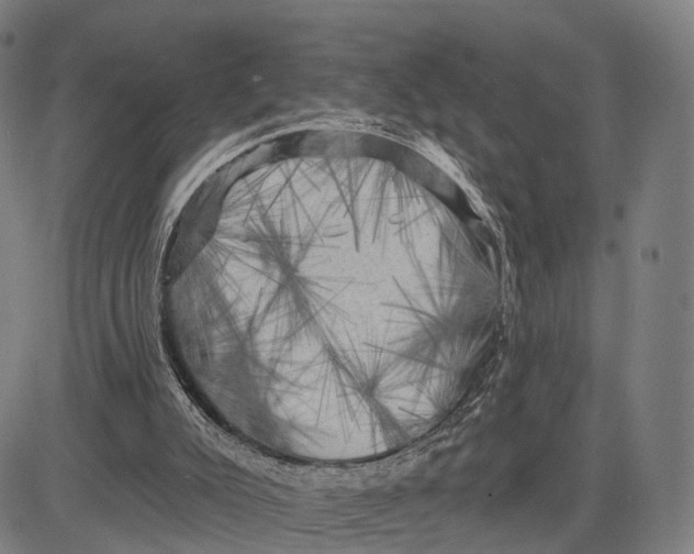 X0000083650007200703051738