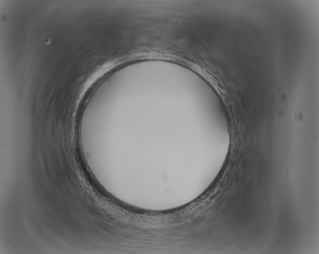 X0000083650008200703051738