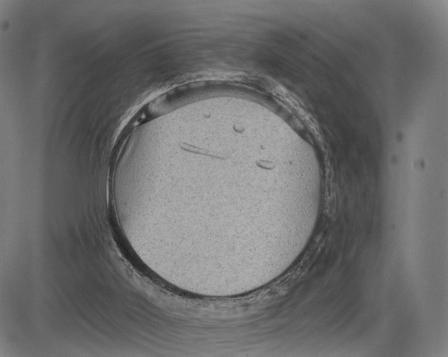 X0000083650011200703051738