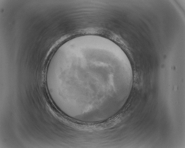 X0000083650012200703051738