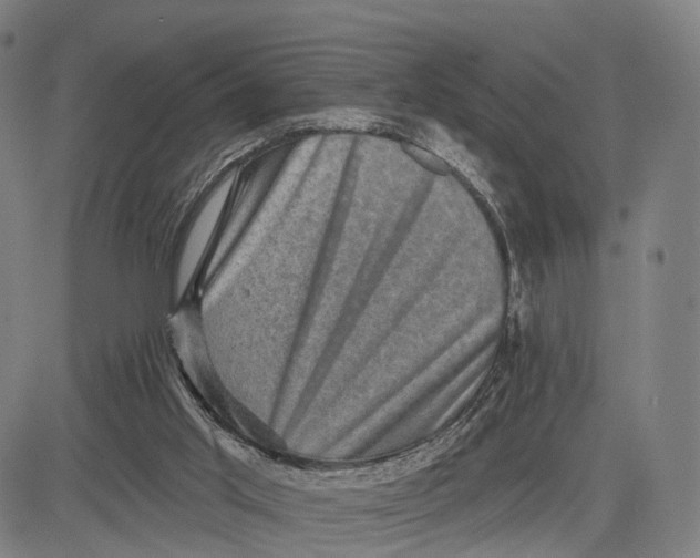 X0000083650013200703051738