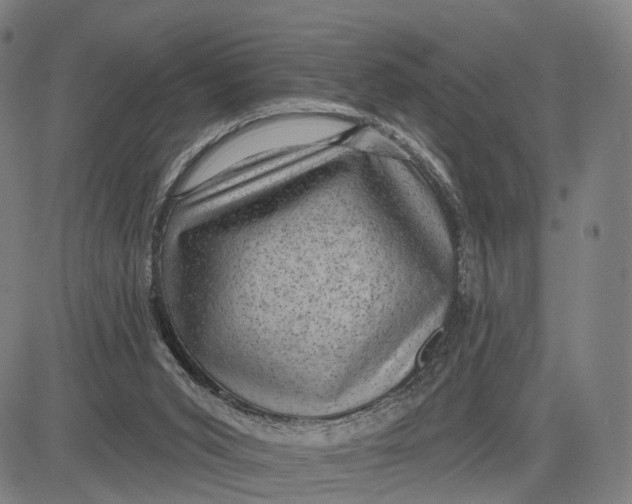 X0000083650015200703051738