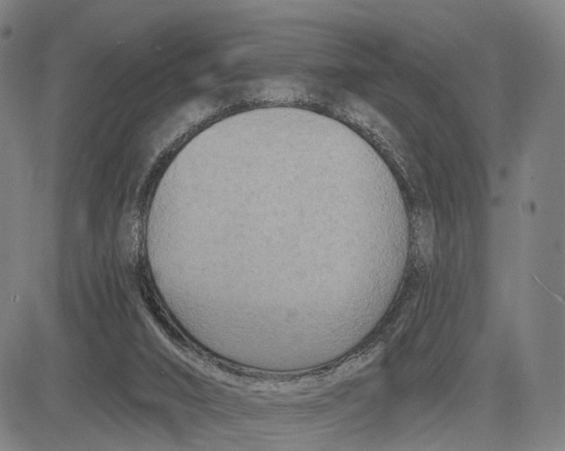 X0000083650016200703051738