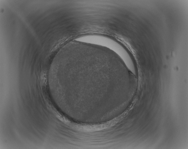 X0000083650017200703051738