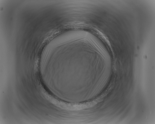 X0000083650018200703051738