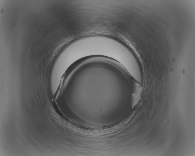 X0000083650019200703051738