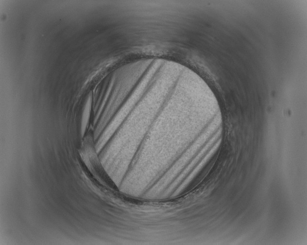 X0000083650020200703051738