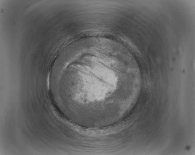 X0000083650022200703051738