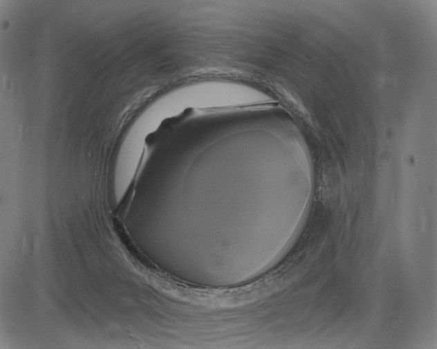 X0000083650023200703051738