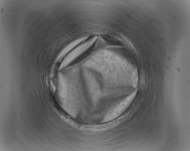 X0000083650025200703051738