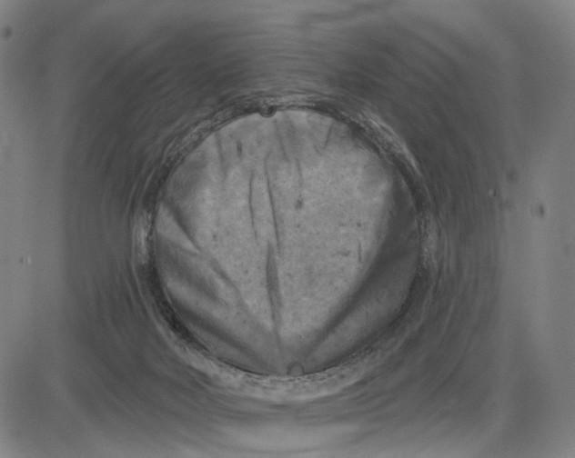 X0000083650026200703051738