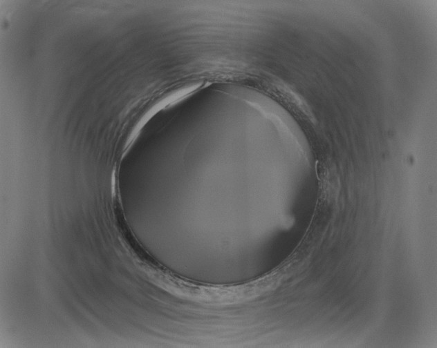 X0000083650027200703051738