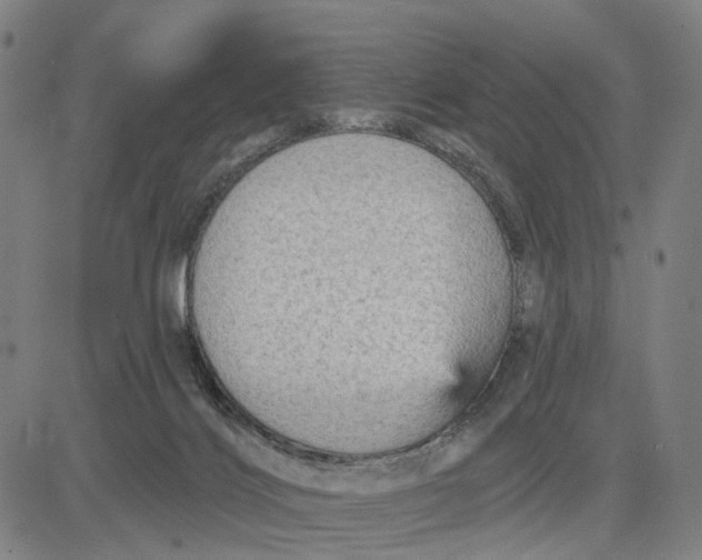 X0000083650028200703051738