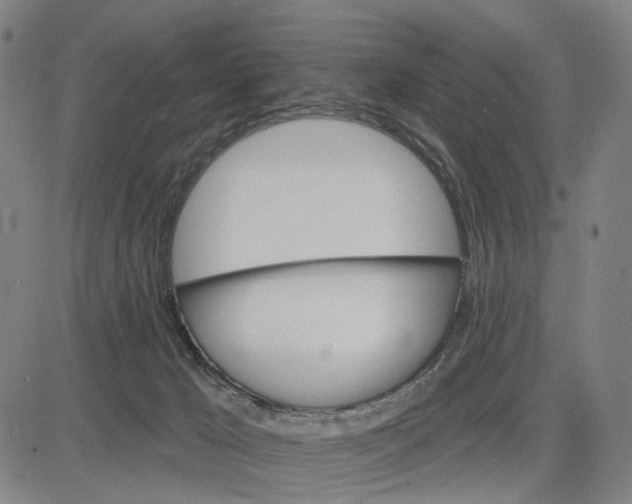 X0000083650029200703051738