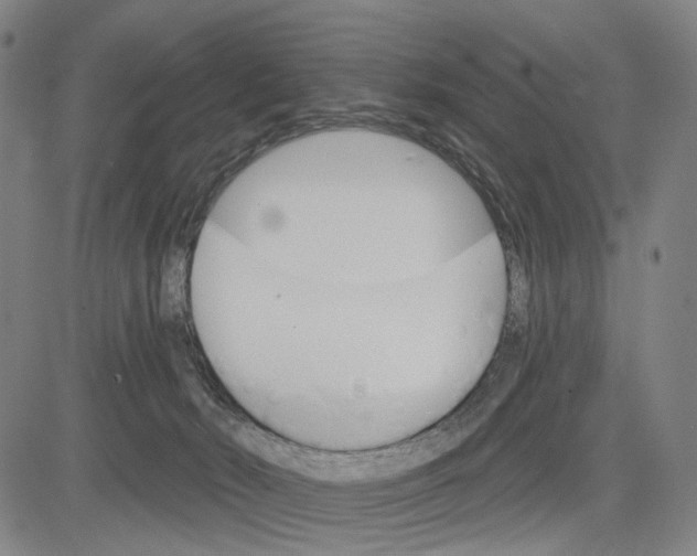 X0000083650030200703051738