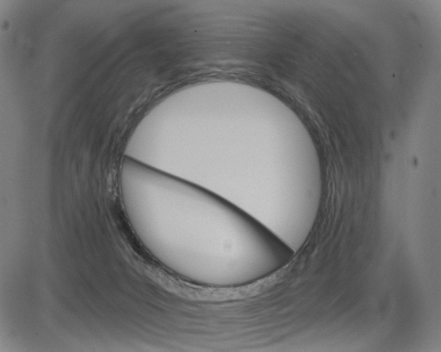 X0000083650031200703051738