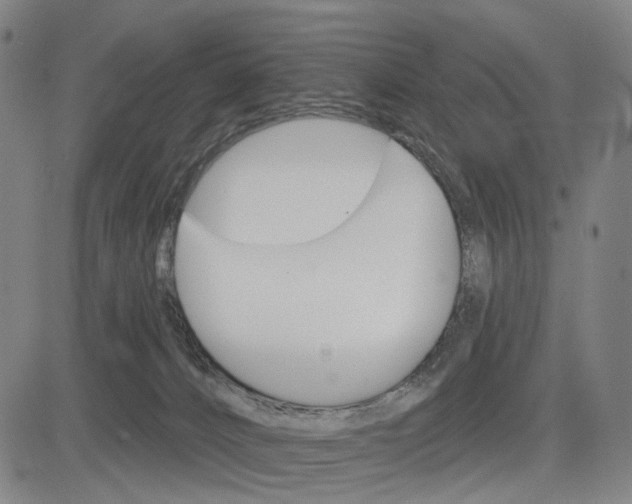 X0000083650032200703051738