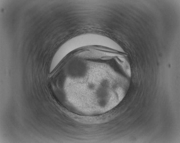 X0000083650034200703051737