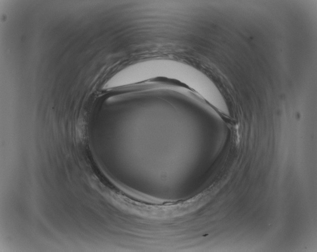 X0000083650035200703051737