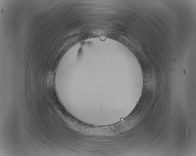 X0000083650036200703051737