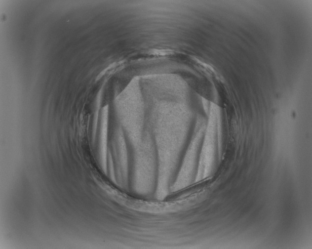 X0000083650037200703051737