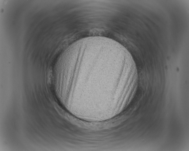 X0000083650038200703051737