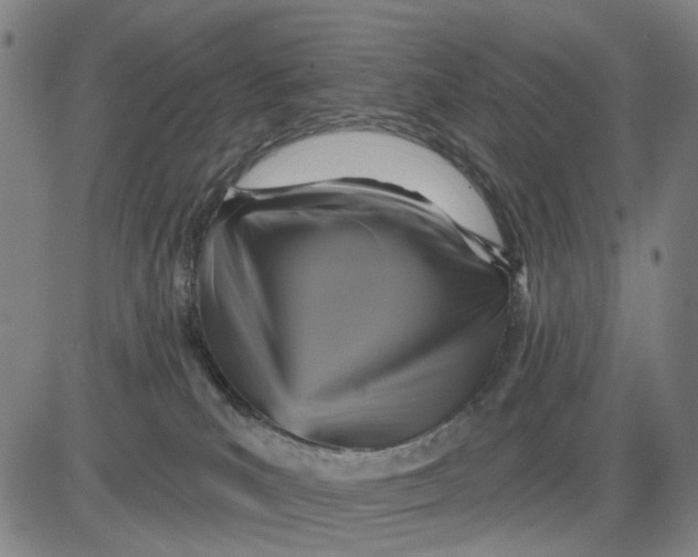 X0000083650039200703051737