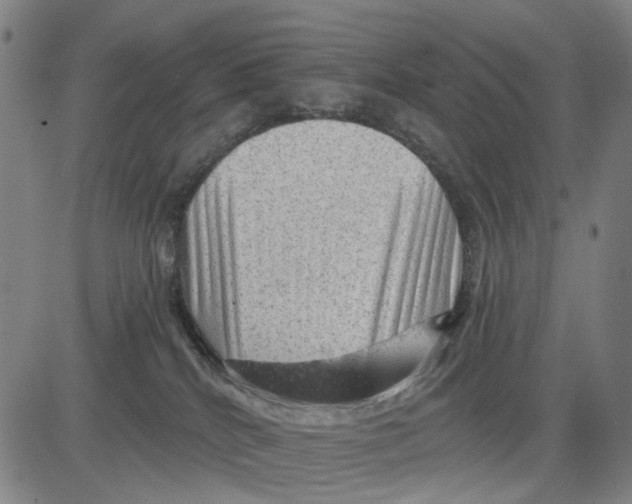 X0000083650040200703051737