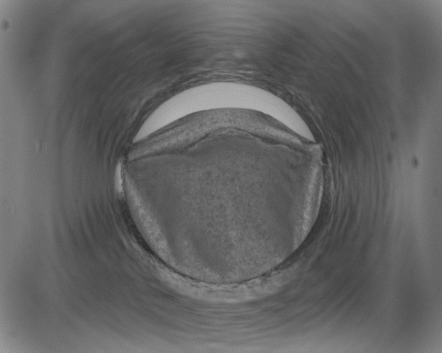 X0000083650042200703051737