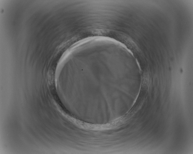 X0000083650043200703051737