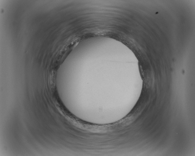 X0000083650044200703051737