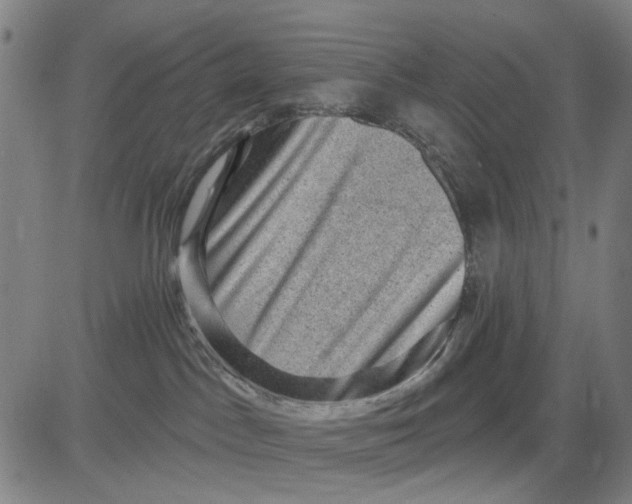 X0000083650045200703051737