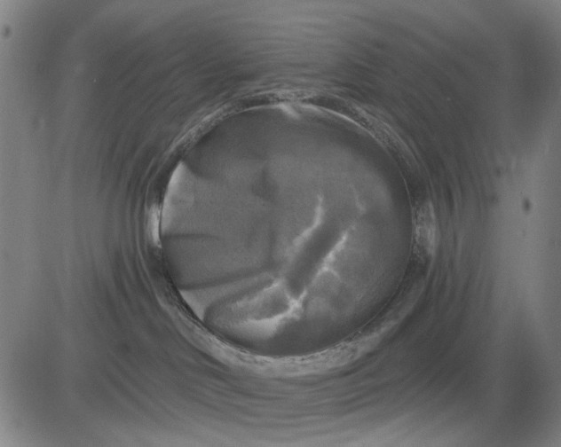 X0000083650046200703051737