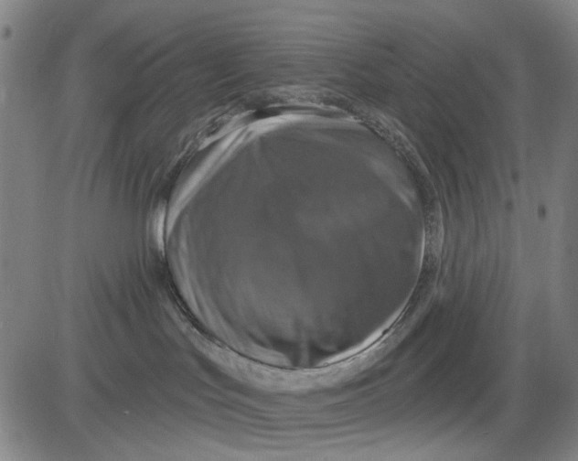 X0000083650047200703051737