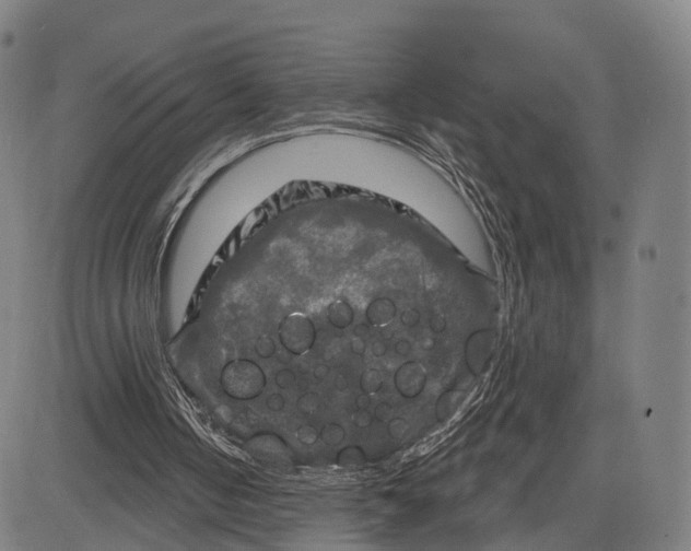 X0000083650050200703051736