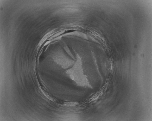 X0000083650051200703051736