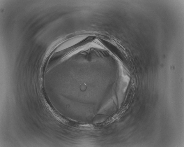 X0000083650053200703051737