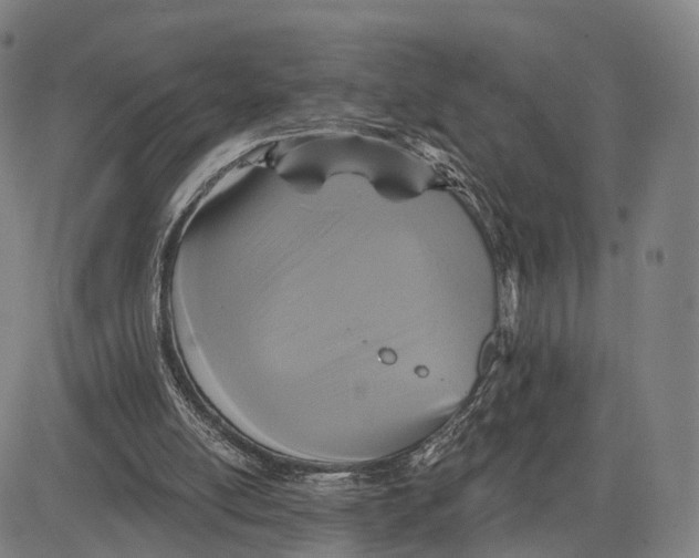 X0000083650054200703051737