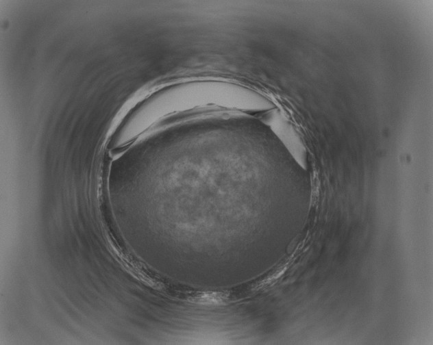 X0000083650056200703051737