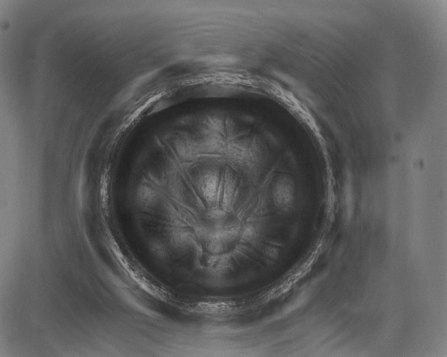 X0000083650057200703051737