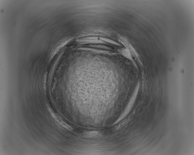 X0000083650058200703051737