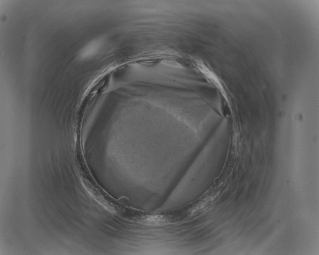 X0000083650059200703051737