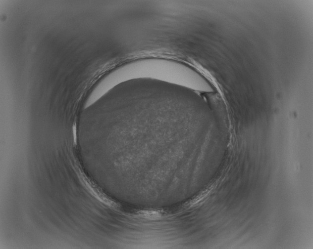 X0000083650061200703051737