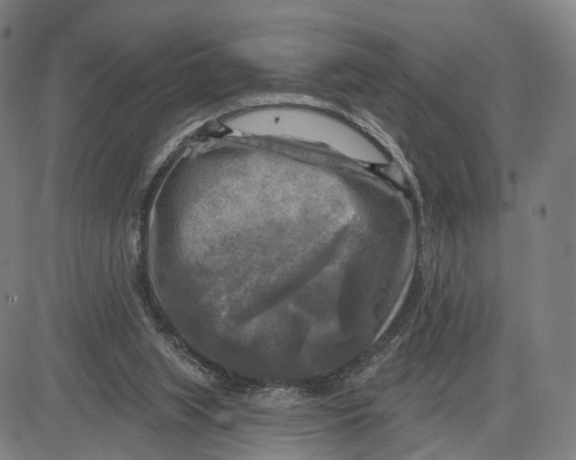 X0000083650063200703051737