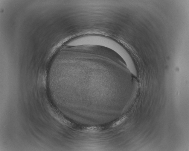 X0000083650064200703051737